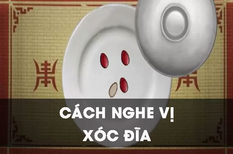 Cách nghe vị xóc đĩa